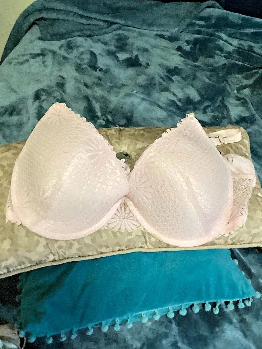 Juicy Couture Lace Bra in Pink